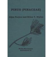 Pinus