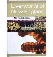 Liverworts of New England