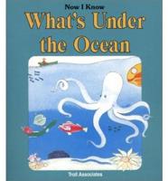 What's Under the Ocean?