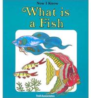 What Is a Fish?