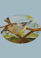 The Stone Soup Sketchbook (small): Sierra Glassman - Cedar Waxwing - unlined