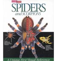 A Look Inside Spiders and Scorpions