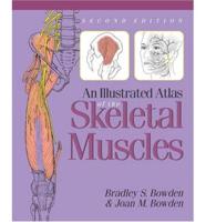 An Illustrated Atlas Of The Skeletal Muscles