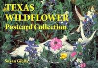 TEXAS WILDFLOWER POSTCARD COLLECT