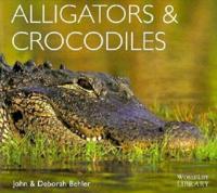 Alligators & Crocodiles