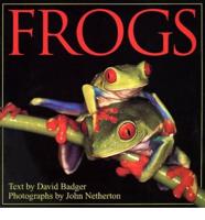 Frogs