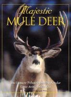 Majestic Mule Deer
