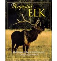 Majestic Elk