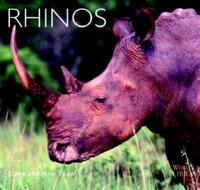 Rhinos