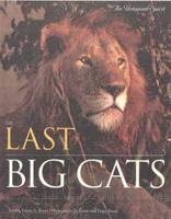 The Last Big Cats : An Untamed Spirit