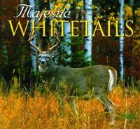Majestic Whitetails 2004 Calendar