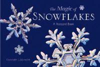 The Magic of Snowflakes