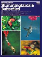 How to Attract Hummingbirds & Butterflies