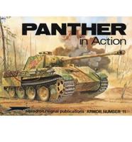 Panther in Action