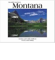 Beautiful America's Montana