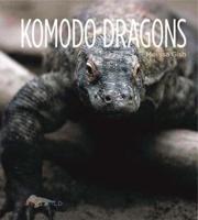 Komodo Dragons By