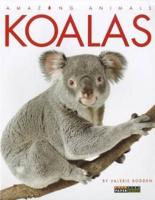 Koalas