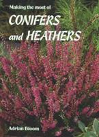 Making the Most of Conifers and Heathers