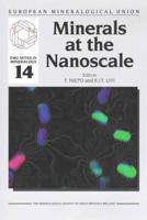 Minerals at the Nanoscale