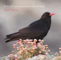 Birds of Cornwall and the Isles of Scilly