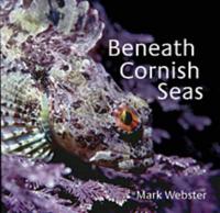 Beneath Cornish Seas