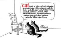 Cat (Kat), N. ...