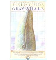Field Guide to the Gray Whale