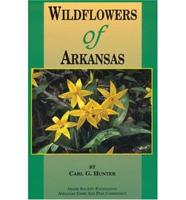 Wildflowers Arkansas