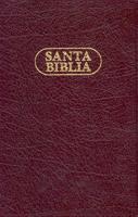 Biblias de Estudios-RV 1979