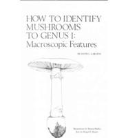 How to Identify Mushrooms