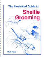 Illustrated Guide to Sheltie Grooming