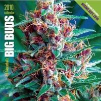 Ed Rosenthal's Big Buds 2010 Calendar