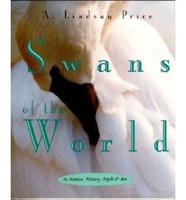 Swans of the World