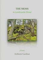 The Moss in Lanthwaite Wood
