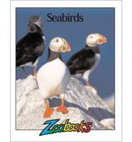 Sea Birds