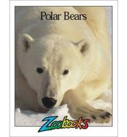 Polar Bears