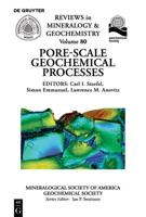 Pore-Scale Geochemical Processes