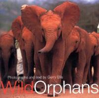 Wild Orphans