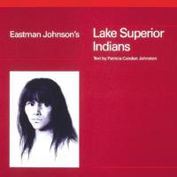 Eastman Johnson's Lake Superior Indians