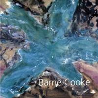 Barrie Cooke
