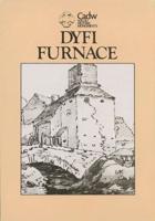 Dyfi Furnace