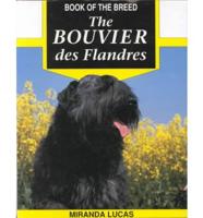 The Bouvier Des Flandres