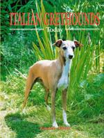 Italian Greyhounds Today