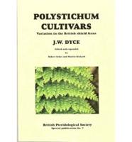 Polystichum Cultivars