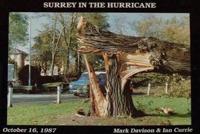 Surrey in the Hurricane