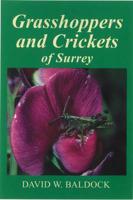 Grasshoppers and Crickets of Surrey