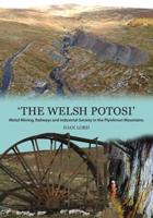 'The Welsh Potosi'