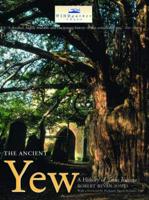 The Ancient Yew