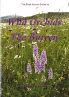 The First Nature Guide to Wild Orchids in The Burren