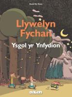 Llywelyn Fychan